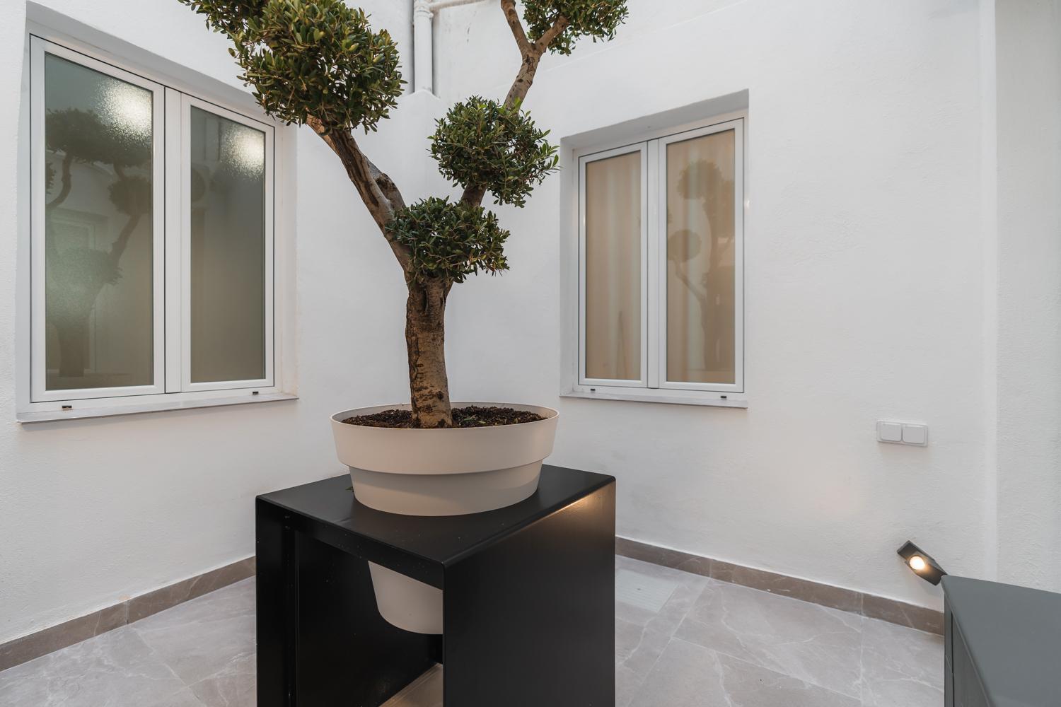 Tuguest Buensuceso Apartment Γρανάδα Εξωτερικό φωτογραφία
